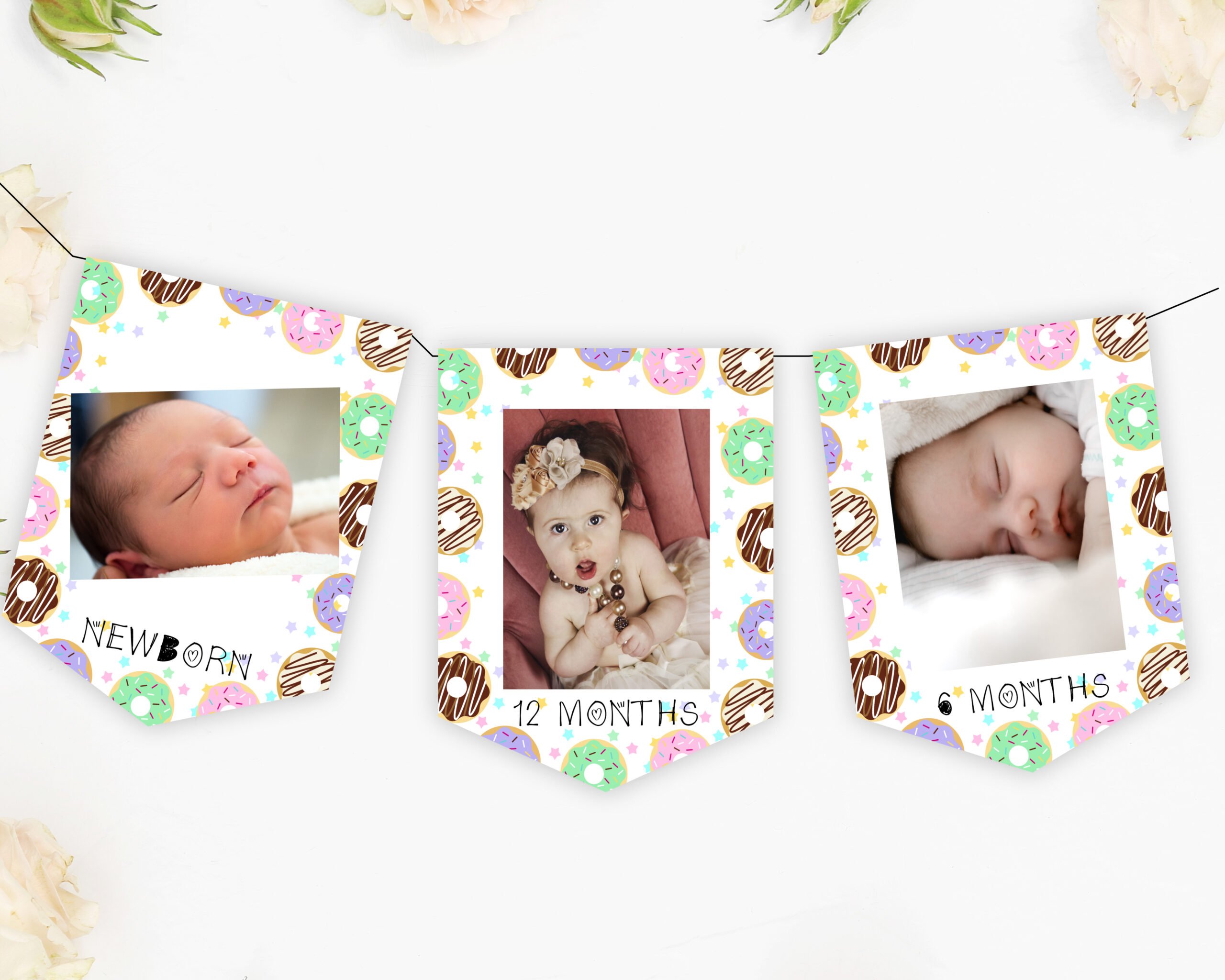 Bunting Flag Banner Newborn to 12 months Photo Bunting Banner Banner