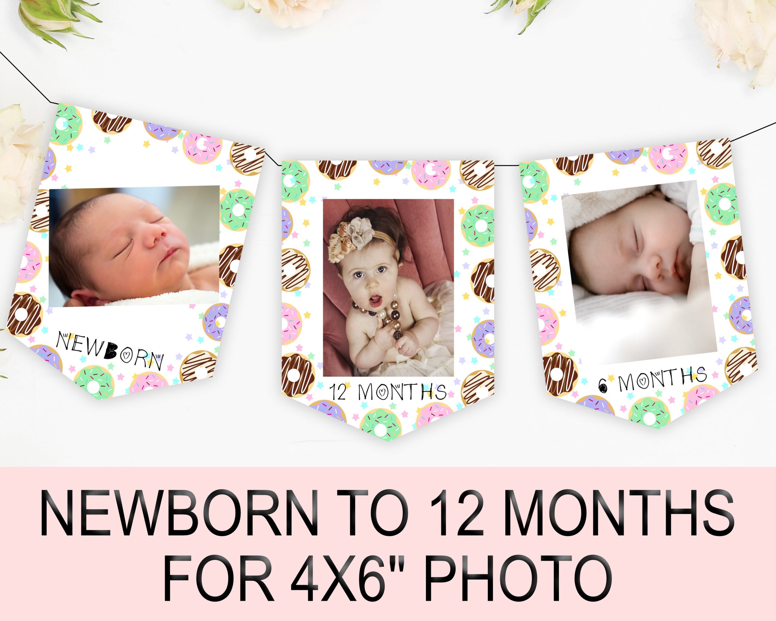 Bunting Flag Banner Newborn to 12 months Photo Bunting Banner Banner