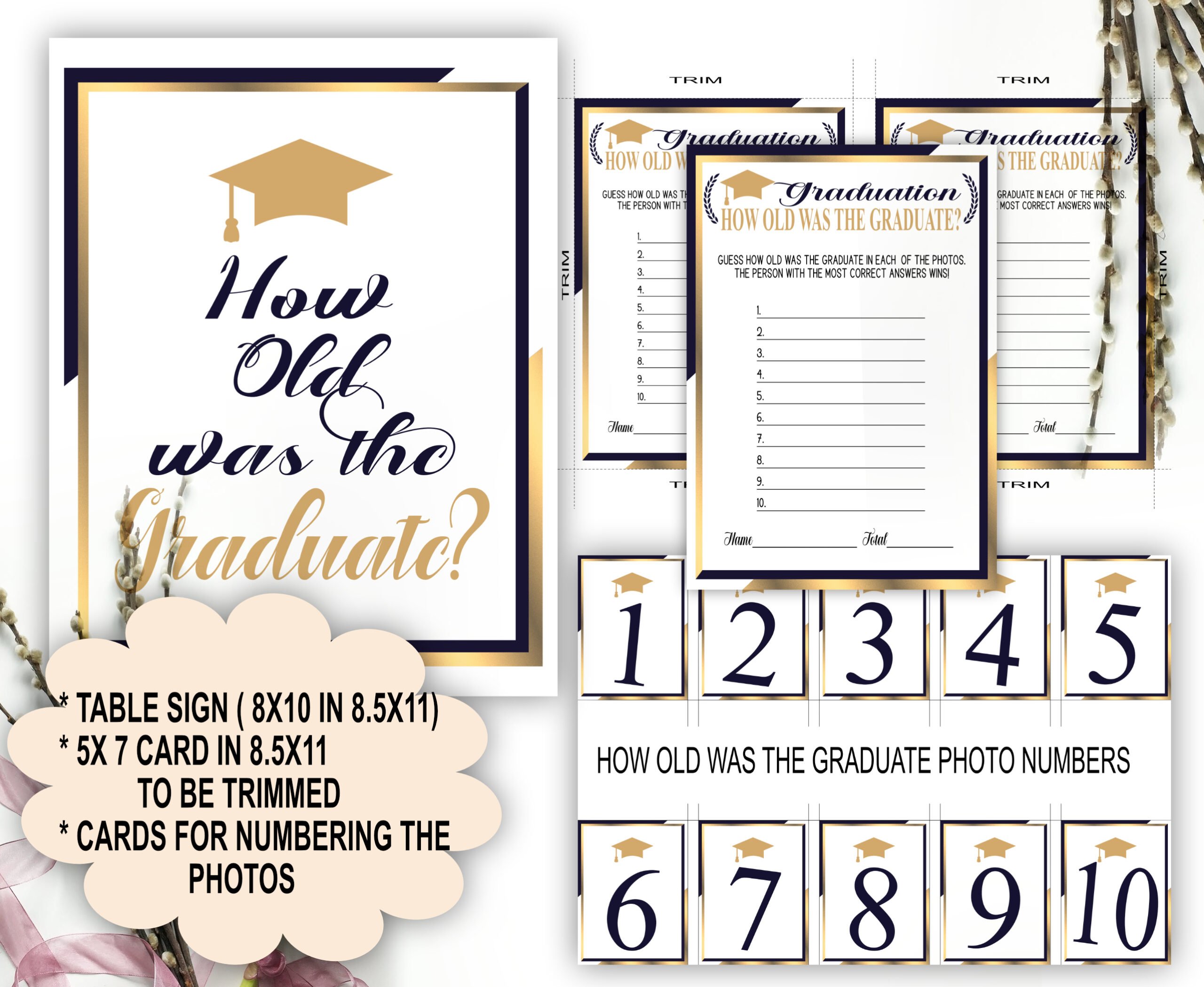 GAMES Dark Blue Gold GRADUATION GAMES 14-1 bundle College