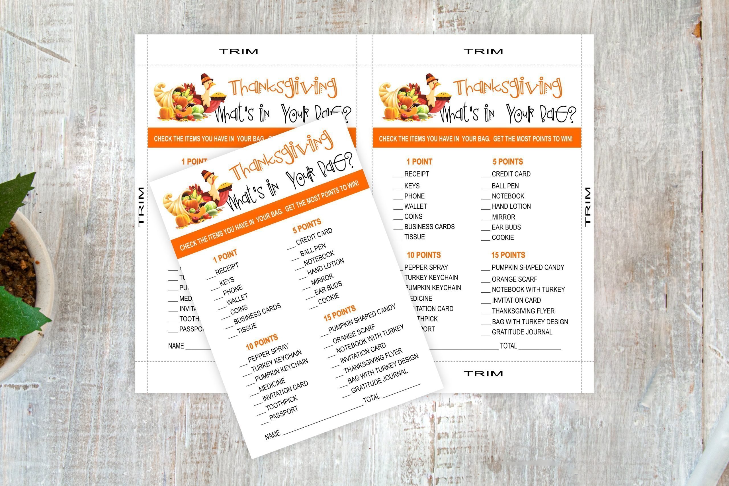 HOLIDAY Thanksgiving What’s In Your Bag Printable Fun Thanksgiving Day Game games_for_adults