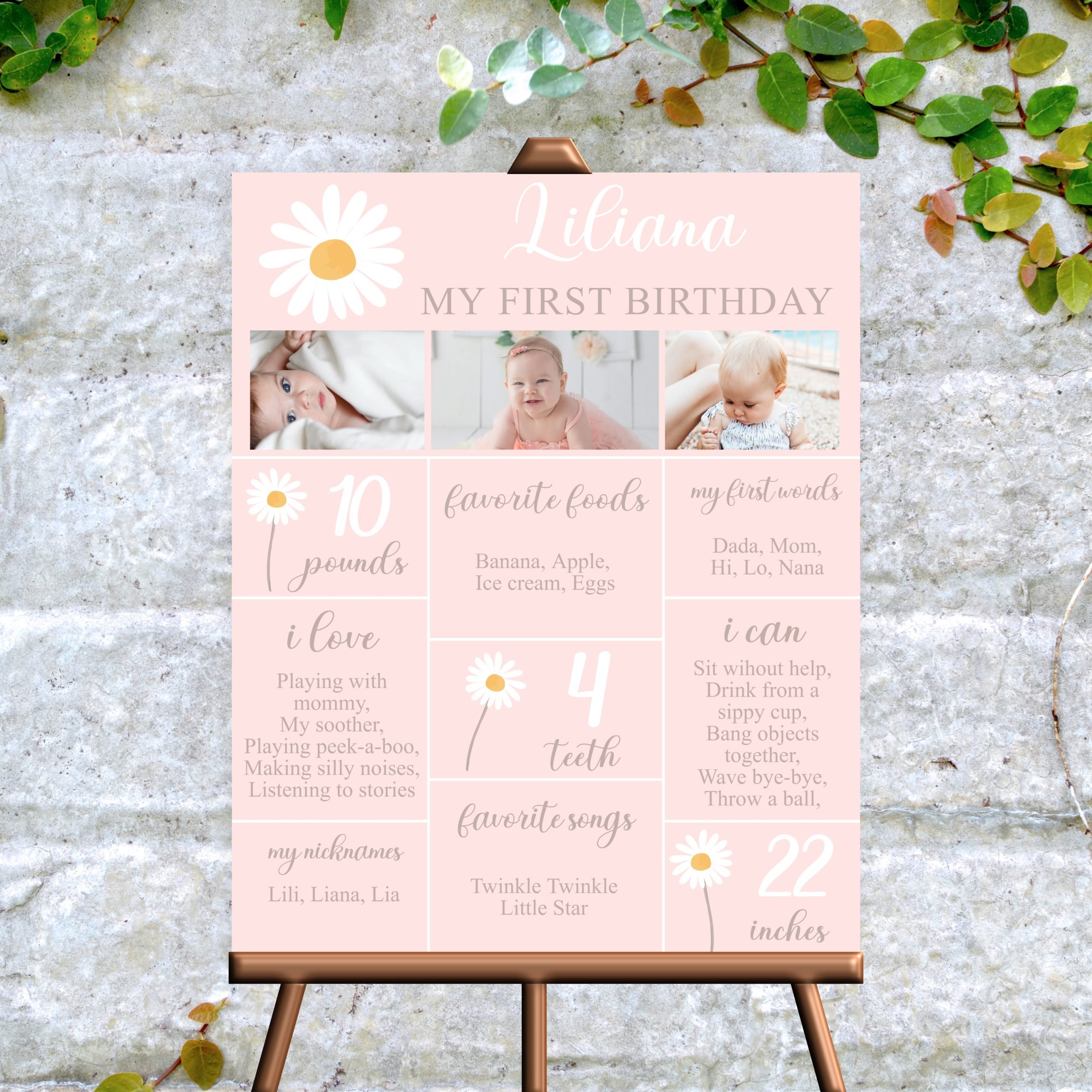 DECOR | SIGNS Editable Daisy Birthday Milestones Sign Daisy Boho First Birthday Milestone Sign Girl Floral Digital Download PRINTABLE 16×20 Corjl Template Baby Girl Milestone Sign